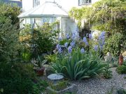 The beautiful garden at Emms Cottage