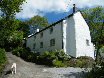 Spring Cottage B&B