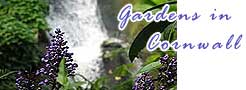 Gardens in Cornwall -  Full write ups with photographs