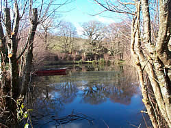 Fishing Lake