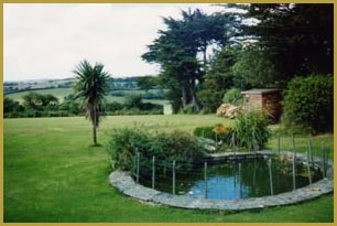 The Pond