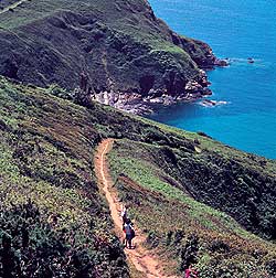 Coast Path Lantic Bay - � Cornwall Tourist Board/Roy Westlake