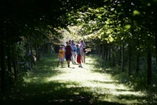 Wooded walk