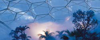 The Eden Project